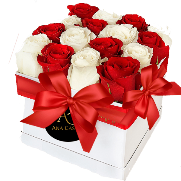 bloom-luxury_mini_blanco y rojo